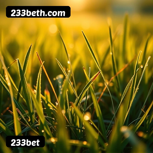 App 233bet para iOS e Android — interface mobile, login biométrico e PIX integrado