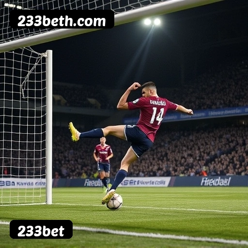 Suporte 24 horas 233bet